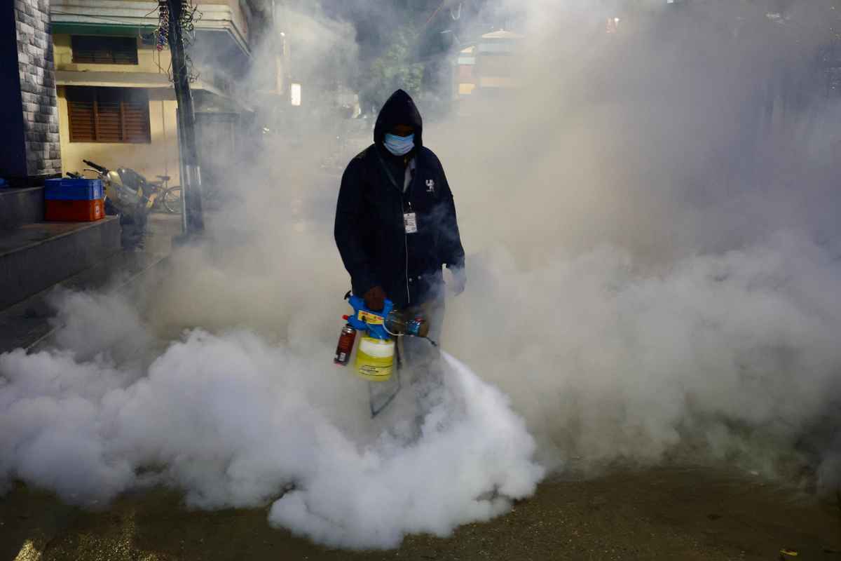 Virus Dengue, quasi 600 i casi confermati in Italia: sotto accusa il sistema di disinfestazione